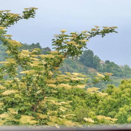 Calliope's Stone Manor Hébergement de vacances Tsagkarada